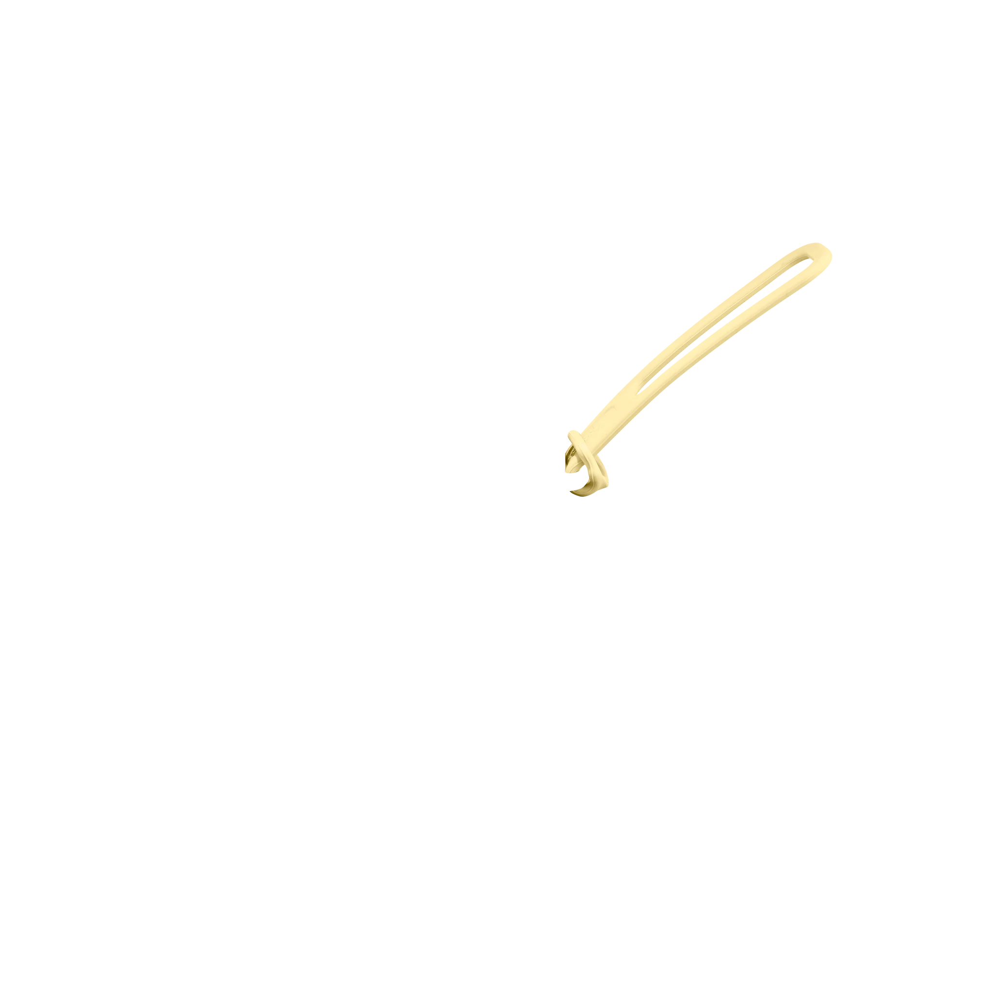 Strap - Image 100