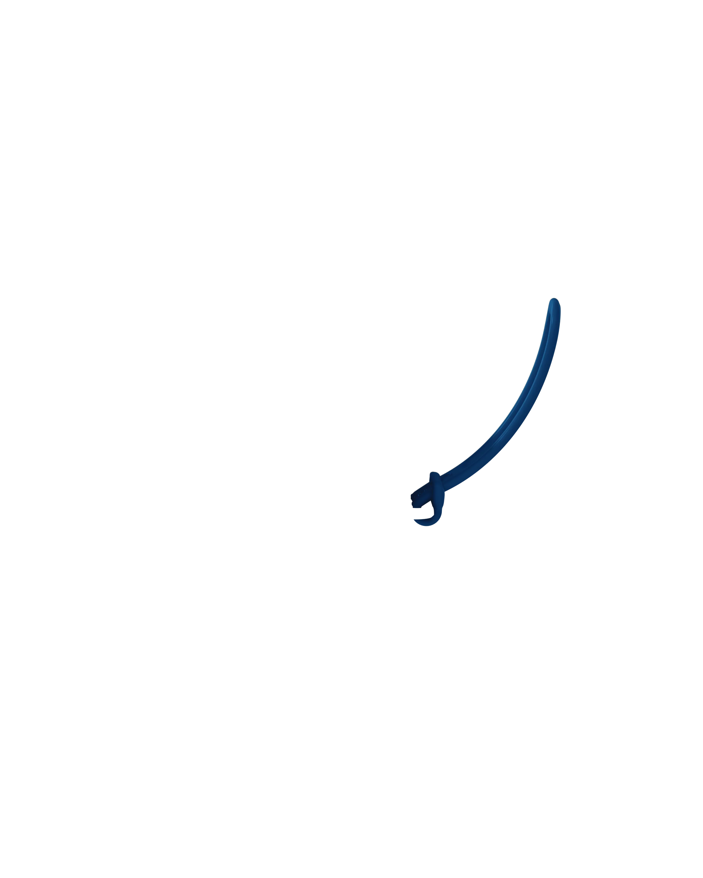 Strap - Image 30