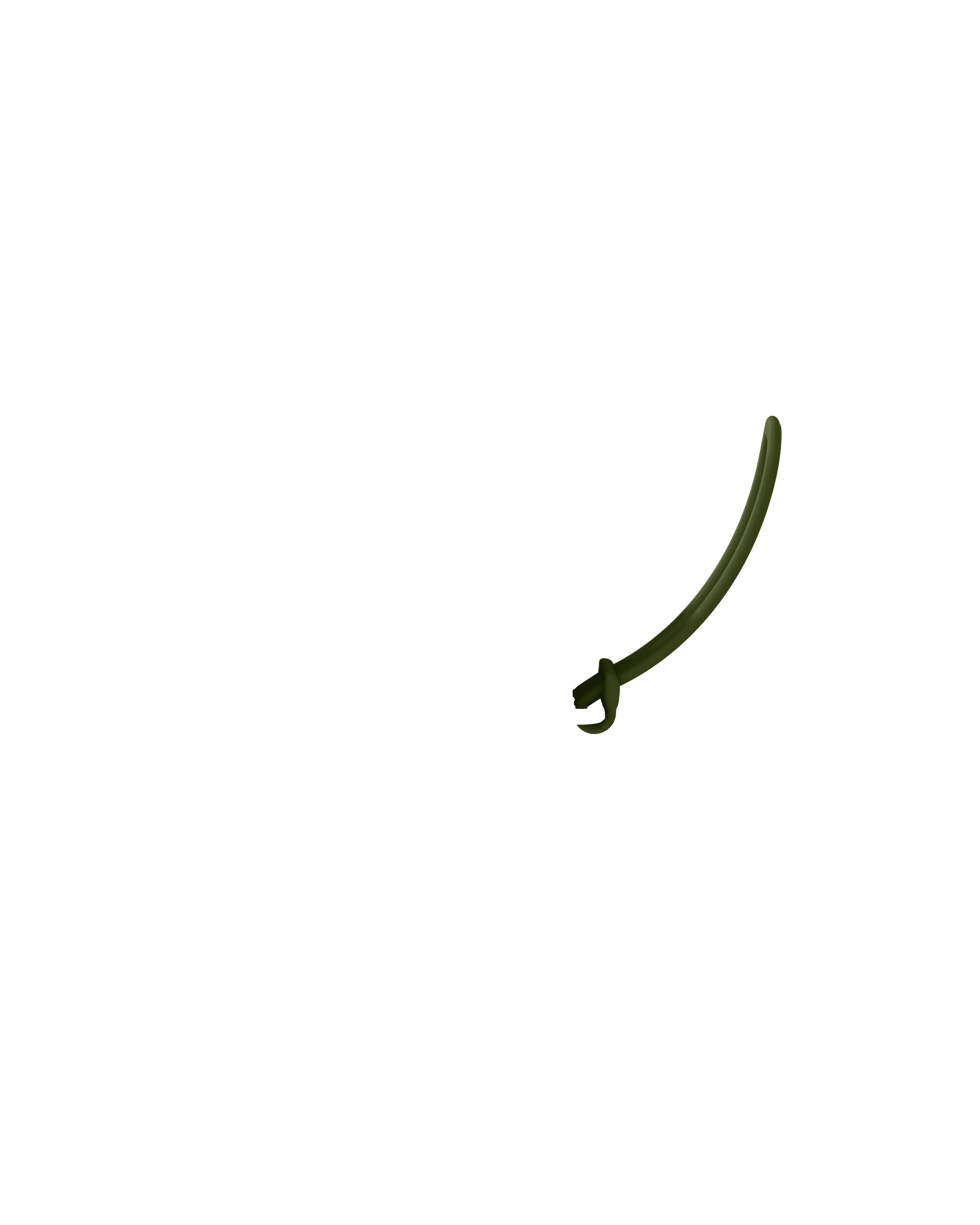 Strap - Image 33