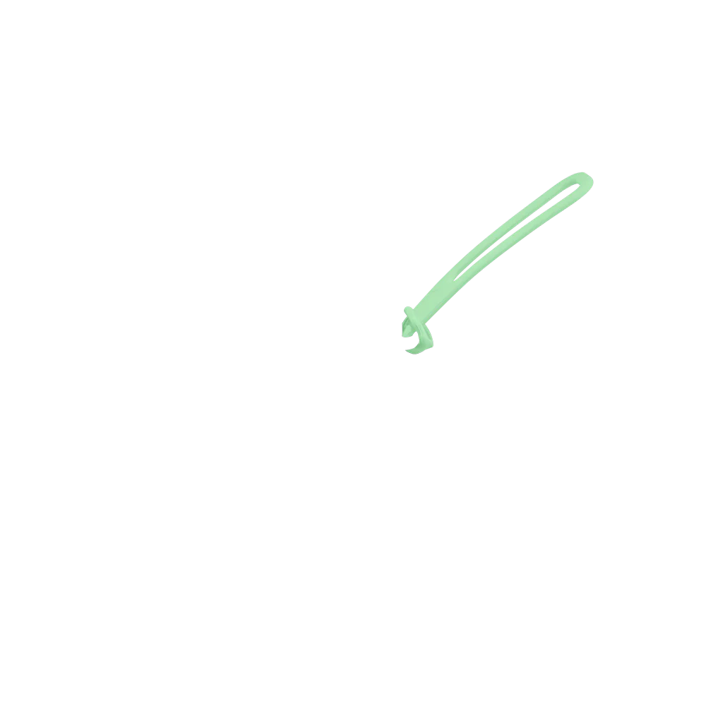 Strap - Image 71